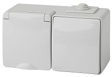 Блок накладной Эра Эксперт розетка 1-м.+выключатель 1-кл. IP65 серый картинка